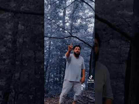 احلا موال مهاجرين في غابات اليونان 