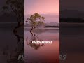 aussie sunrise spots ai voice narrations #Australia #TravelAustralia #BucketList