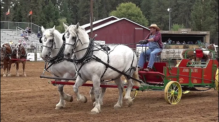 2019 Draft Horse Classic ~ Farm Implement Class