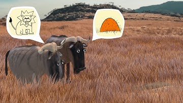 Communication between animals - African savannah