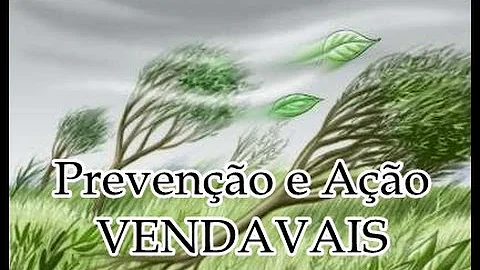 O que é considerado vendaval?