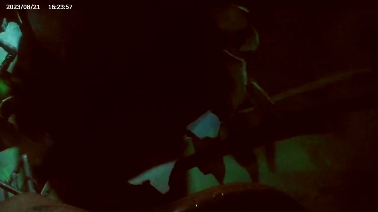 Crush’s coaster ride,Paris.