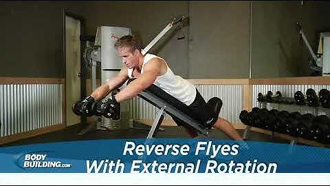 Reverse Flyes With External Rotation   Exercise Videos & Guides   Bodybuilding com