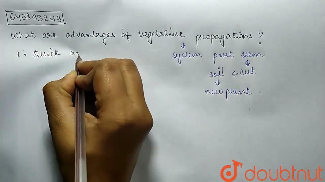 What are advantages of vegetative propagation? CLASS 10 HOW DO ORGANISMS REPRODUCE? BIOLOG