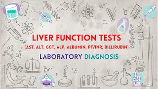 Liver Function Tests (AST, ALT, GGT, ALP, ALBUMIN, BILLIRUBIN) - تحاليل وظائف الكبد