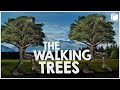 The Walking Tree