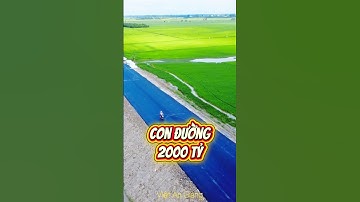 tuyến N1 liên kết vùng Tân Châu nối Châu Đốc #angiang #khampha