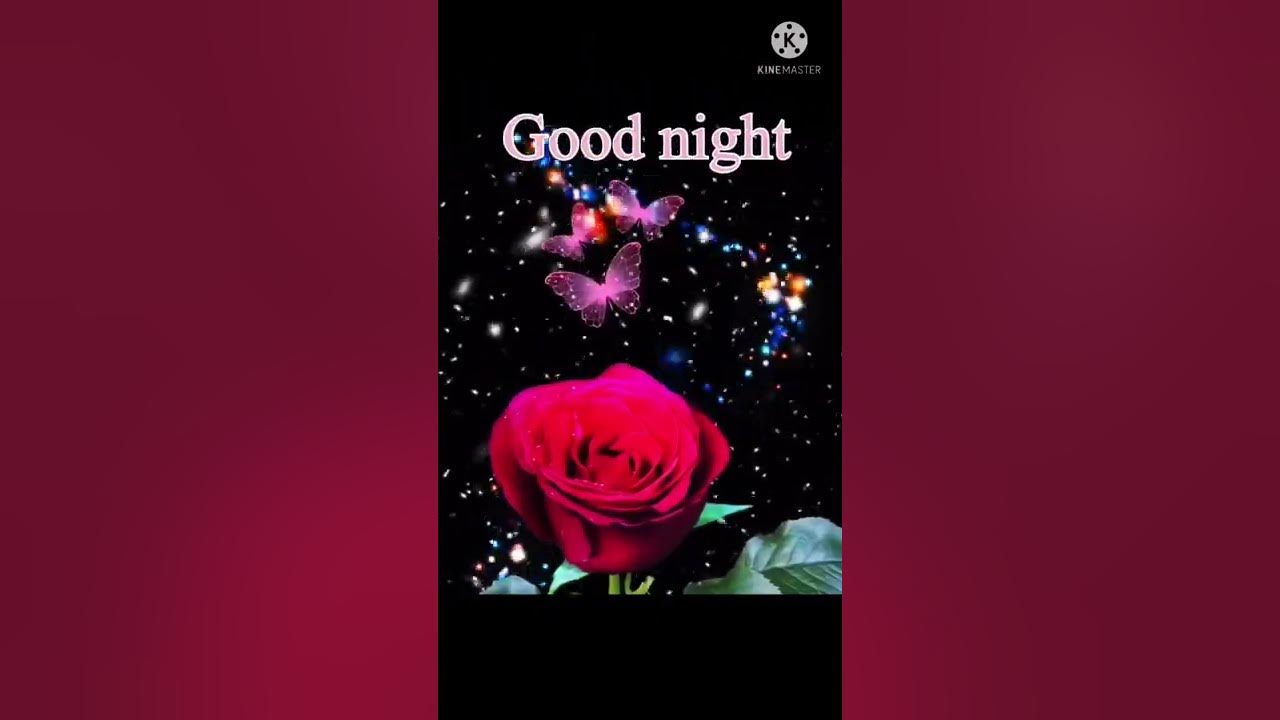 Good night video status ll good night WhatsApp status Good night video status ll good night WhatsApp status