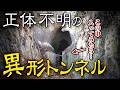 【大分】廃道マニアも絶句 “異形の廃隧道”へ入ってみたら・・・