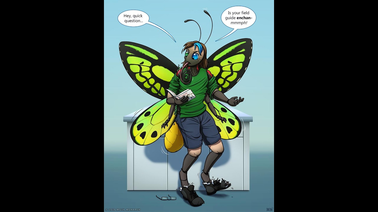 Insect / bug transformation