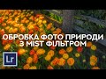 Обробка фото природи знятих з "mist" фільтром - Особливості кольорокорекції для таких фотографій