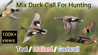 Duck call for duck hunting | duck sound | murghabi ki awaz | Duck hunting call | Malik Hunting Vlog