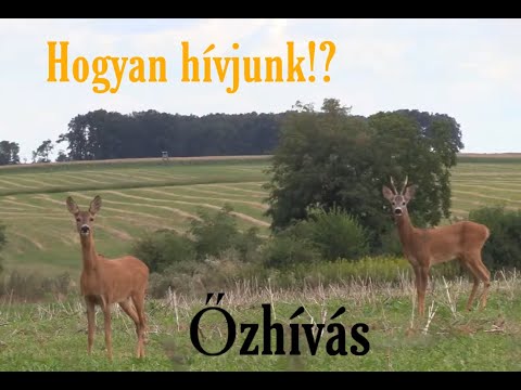 Videó: Hogyan Hívjunk ördögöt