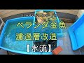 【ベランダ金魚】濾過槽改造　【水流】