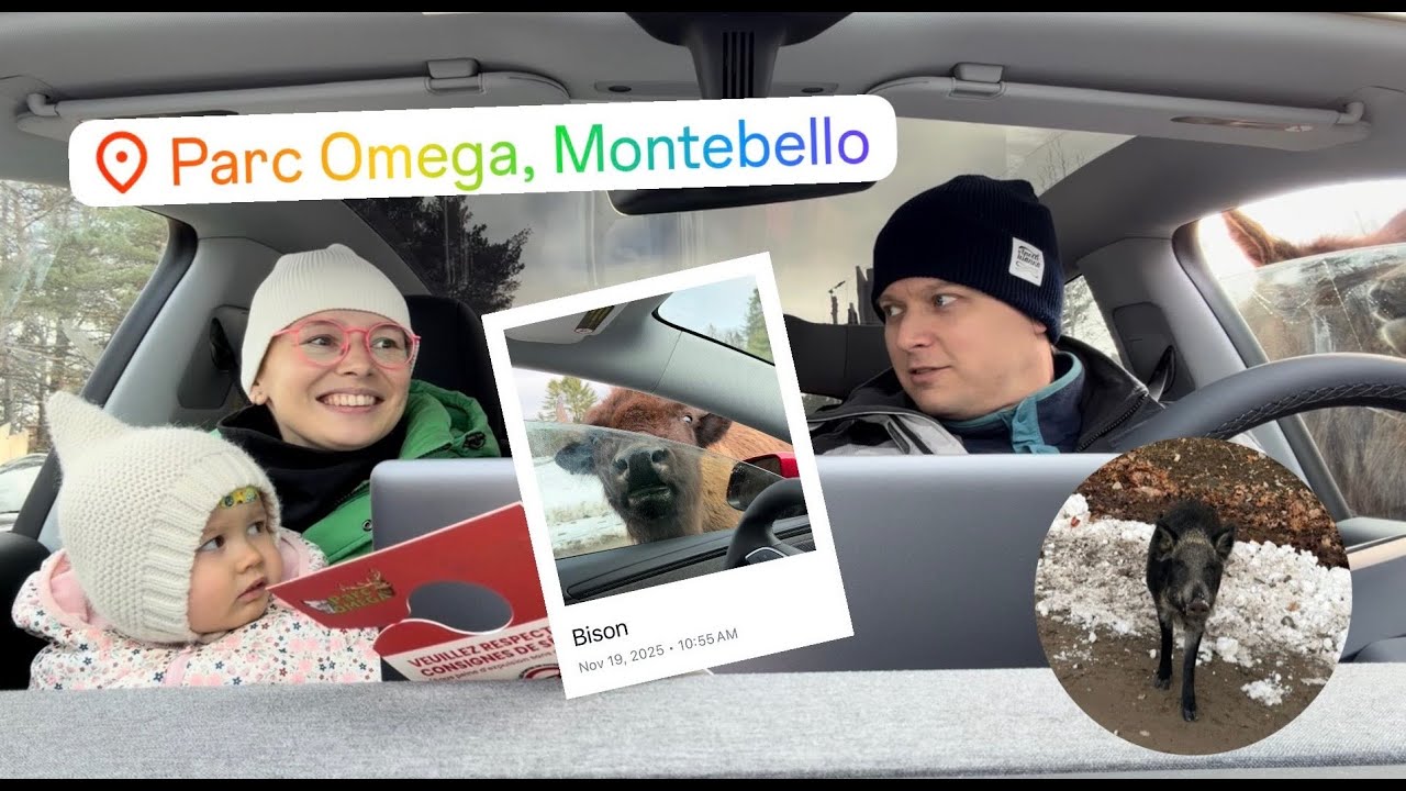 Parc Omega with a Toddler | Animals, Nature & Canadian Wilderness Fun!