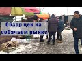 Обзор цен на собачьем рынке Бишкека