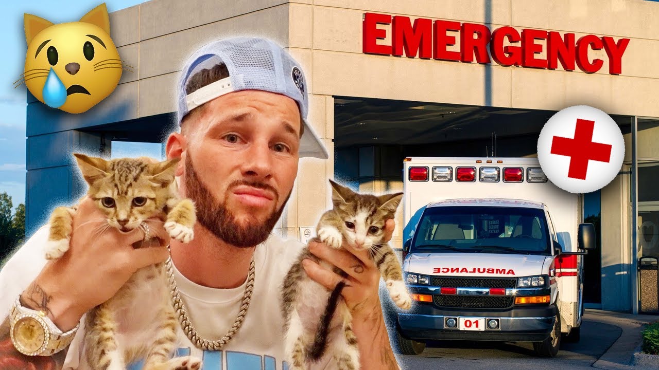 EMERGENCY HOSPITAL VISIT FOR OUR BABY KITTENS 💔 | FamousTubeFamily