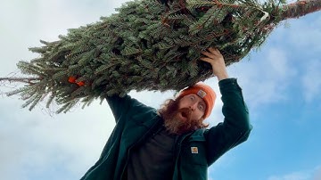 ASMR🌲Lofi Aggressive Fast Random🌲