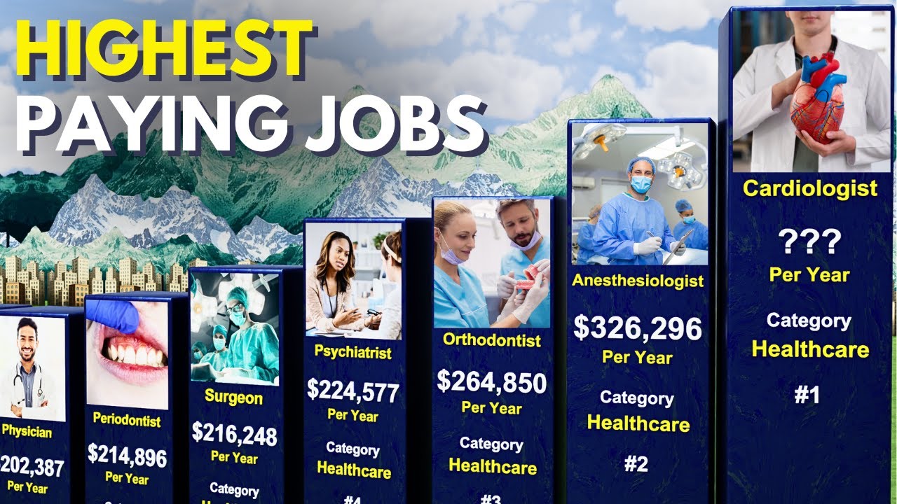 Highest Paying Jobs in the World (2025) | 3D Animated Global Salary ...