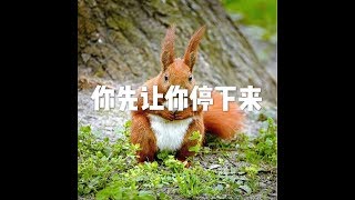 201704 你先让你停下来22521