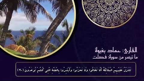 ما تيسر من سورة فصلت، بصوت القارئ: عماد بغيوة