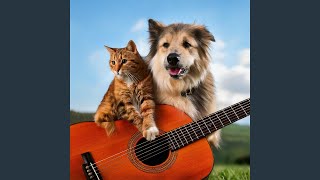 Playful Pet Strums