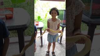 My brave daughter holding Snake #snake #snakevideo #snakes