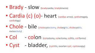 Medical terms 2, Prefixes part 1