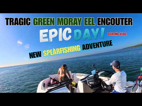 Underwater Swimming - EPIC SPEARfishing Day + TRAGIC MOREY Eel Encounter Boating Vlog