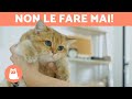 15 COSE da NON FARE con il TUO GATTO 🐱