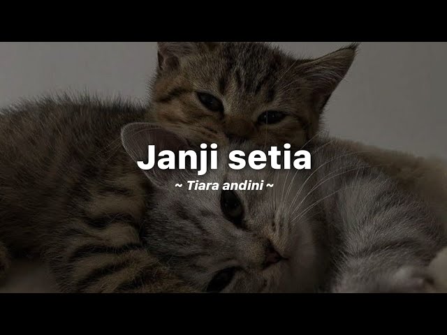 Tiara andini - janji setia (lyrics + reverb) class=