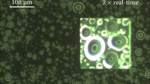 Self-transport and self-alignment of microchips using microscopic rain