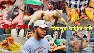 @ornofpets এসেছে মিরপুর পাখির হাটে_পাখি ফ্রী ! টিয়া পাখির বাচ্চা,Persian Cat_Mirpur 1 Pakhir Haat