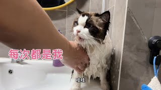 Sister Bao Er: You just press me to wash it with a cat. It's all me back.