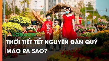 Thời tiết Tết Nguyên đán Quý Mão ra sao?