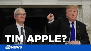 President Trump calls Tim Cook 'Tim Apple'