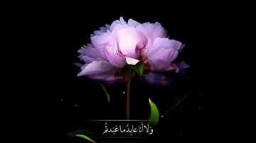 حالات واتس اب (سورة الكافرون)🌷