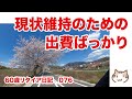 最近、現状維持のための出費ばかりです【60歳リタイア日記076】