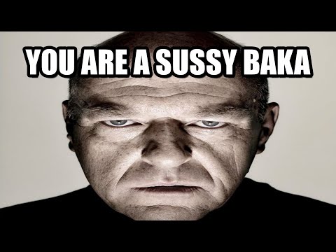 you are a sussy baka song by SkellyVR