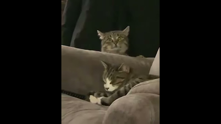 Sneaky attack.. Face with tears of joy. Watch until the end.