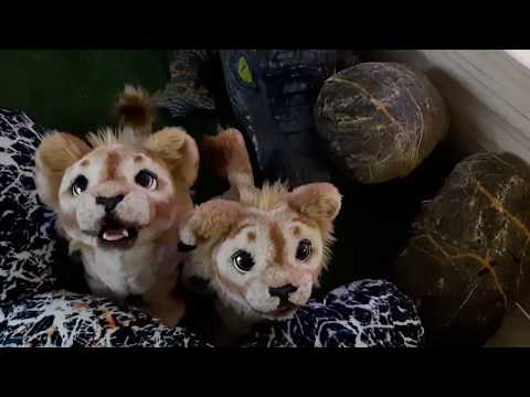 ДИКАЯ АФРИКА // Интерактивные игры // ЗВЕРИ и НАСТОЯЩИЕ ОБЕЗЬЯНКИ!