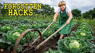 20 Vegetable Gardening Hacks from the 1940s That Make Modern Systems Look Useless