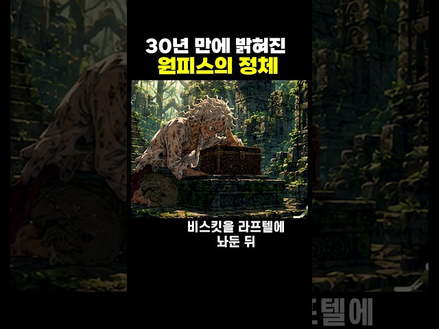 30년 만에 밝혀진 원피스의 정체