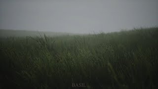Playlist for every day | BASIL
