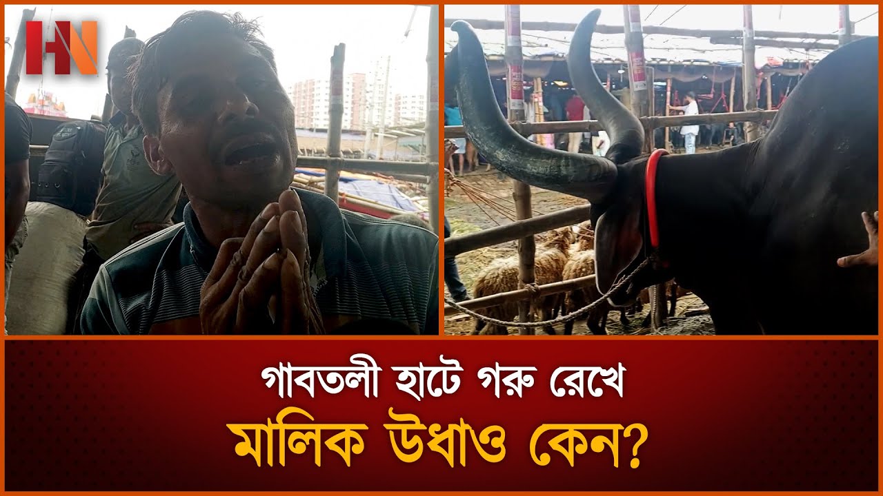 গাবতলী হাটে গরু রেখে মালিক উধাও কেন? Eid al-Adha 2025 | Hard News