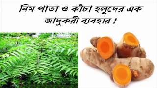 নিম পাতা ও কাঁচা হলুদের এক জাদুকরী ব্যবহার 