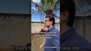 Como identificar comportamentos de risco na sua equipe?