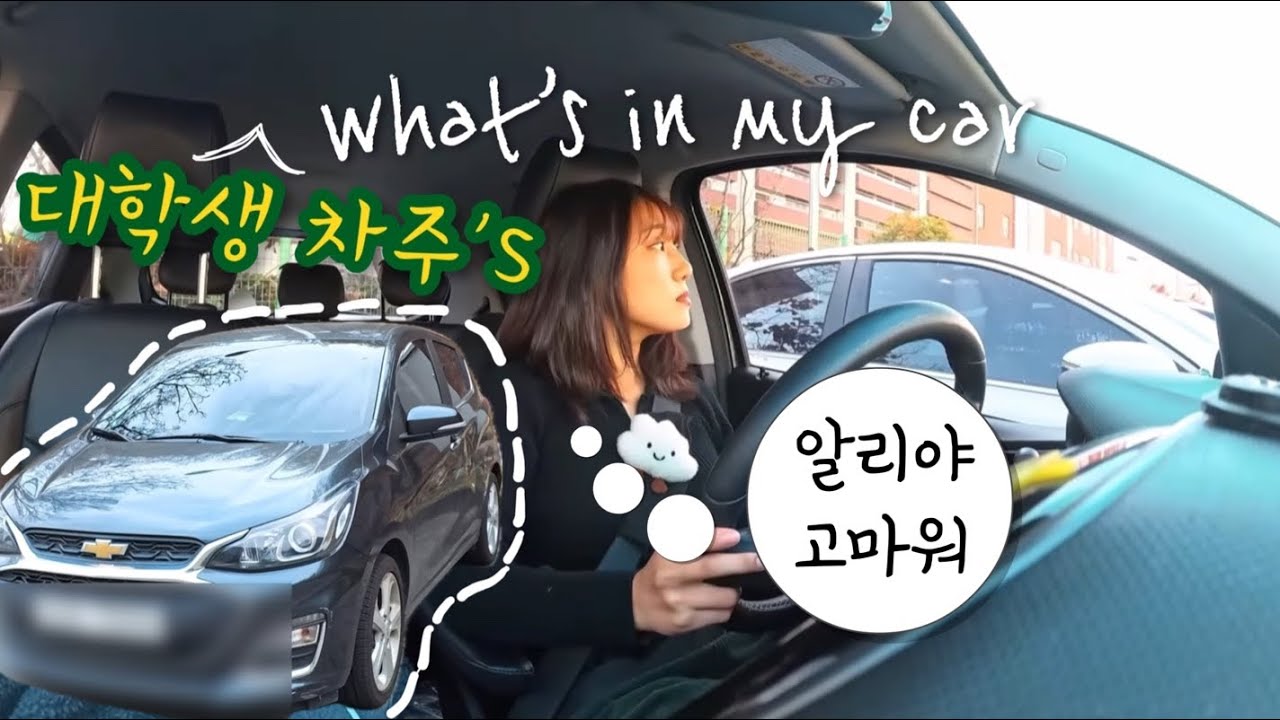 대학생 차주의 왓츠인마이카(What’s in my car) | 알리에서 산 자동차 용품들
