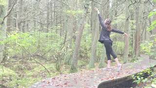 Il pleure dans le White Cedar Swamp
