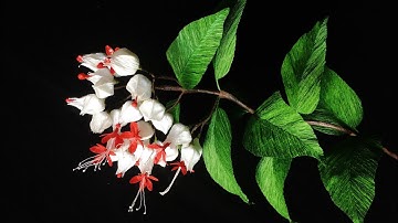ABC TV | How To Make Bleeding Heart Vine Flower From Crepe Paper - Craft Tutorial